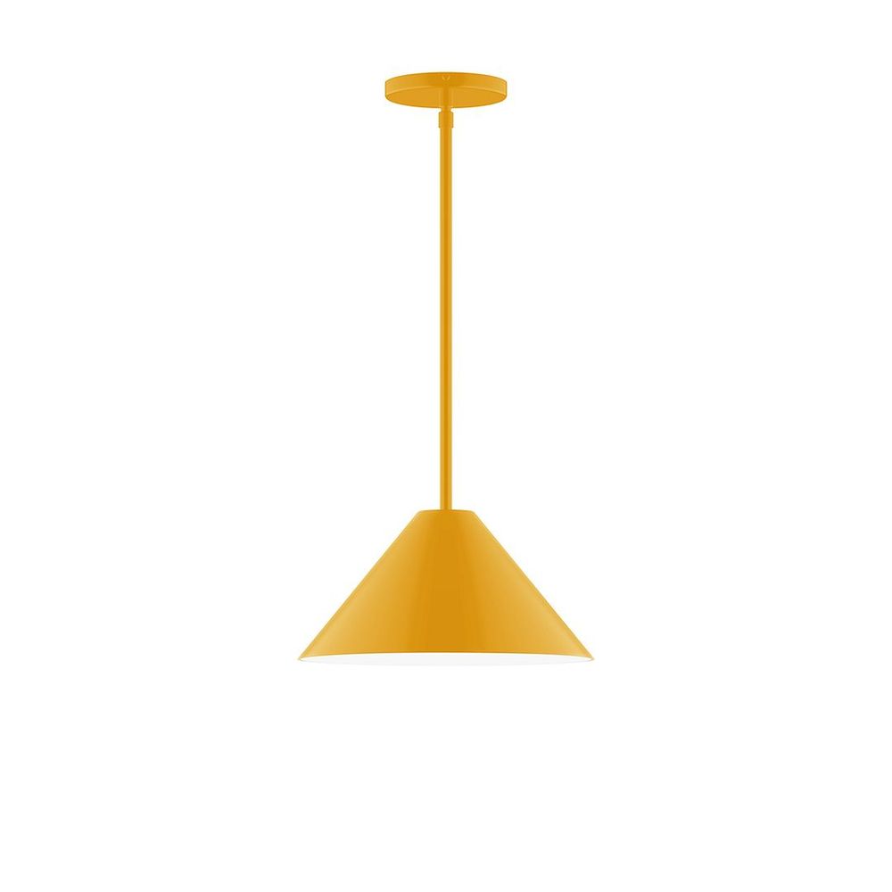 12" Pinnacle LED Stem Hung Pendant