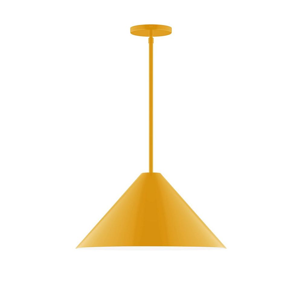 18" Pinnacle LED Stem Hung Pendant