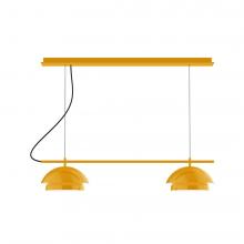 Montclair Light Works CHEX445-21-L12 - 2-Light Linear Axis LED Chandelier, Bright Yellow