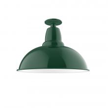 Montclair Light Works FMB108-42-W16 - 16" Cafe Flush Mount Light with wire grill in Forest Green