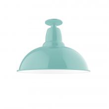 Montclair Light Works FMB108-48-W16 - 16" Cafe Flush Mount Light with wire grill in Sea Green