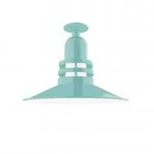 Montclair Light Works FMB149-48-G07 - Atomic 16" Flush Mount Light with Frosted Glass in Sea Green