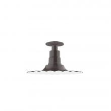 Montclair Light Works FMB158-51-G05 - 12" Radial shade, Flush Mount Light ceiling light with clear glass and cast guard