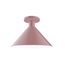 Montclair Light Works FMDX466-20 - 12" Chase Flush Mount, Mauve