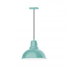 Montclair Light Works PEB107-48-C21-L13 - 14" Cafe shade, LED Pendant with white cord and canopy, Sea Green