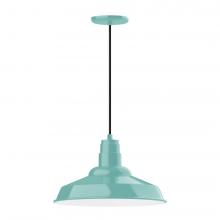 Montclair Light Works PEB184-48-W16-L13 - 16" Warehouse shade, LED Pendant with black cord and canopy, wire grill, Sea Green