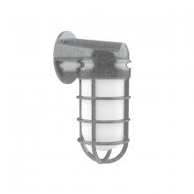 Montclair Light Works SCW050-49 - Vaportite, wall light, Painted Galvanized