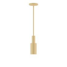 Montclair Light Works STGX450-17 - 3.5" Spark Stem Hung Pendant, Ivory
