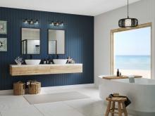 PROG_Coastal_Bathroom_P300436-31M_P500396-202_3D_appshot.jpg