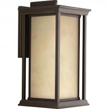 Progress P5613-20 - Endicott Collection Extra Large Wall Lantern