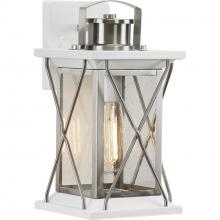 Progress P560156-135 - Barlowe Collection Stainless Steel One-Light Small Wall Lantern