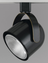 CAL Lighting HT-197-DB - PAR 30, LINE VOLTAGE FIXTURE