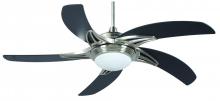 Ceiling Fans