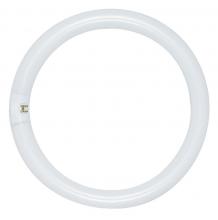 Satco Products Inc. S6503 - 32 Watt; T9; Circline Fluorescent; 4100K Cool White; 62 CRI; 4-Pin base