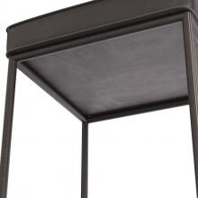 FSI01.d4.jpg