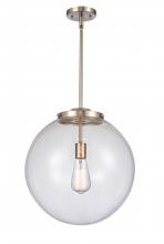 Innovations Lighting 221-1S-SN-G202-16 - Beacon - 1 Light - 16 inch - Brushed Satin Nickel - Cord hung - Pendant