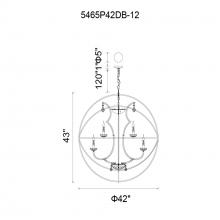 CWI-5465P42DB-12-31.jpg