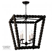 Regina Andrew 16-1254EB - Coastal Living Perennial Lantern (Ebony)