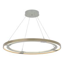 Hubbardton Forge 139776-LED-STND-82-84 - Ringo LED Pendant