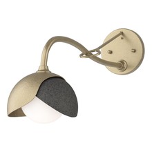 Hubbardton Forge 201377-SKT-84-20-GG0711 - Brooklyn 1-Light Double Shade Long-Arm Sconce