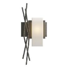 Hubbardton Forge 207670-SKT-RGT-20-GG0351 - Brindille Sconce