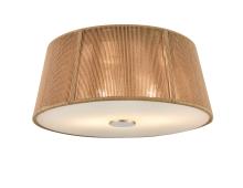 Millennium 213102-BN - Flushmount Ceiling Light