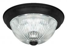 Canarm IFM213MBK-RGC - IFM213MBK-RGC, 2 Light Flush Mount, Black Finish