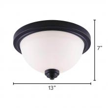 Canarm IFM326A13BK - Portia 2 Light Flush Mount, Black Finish