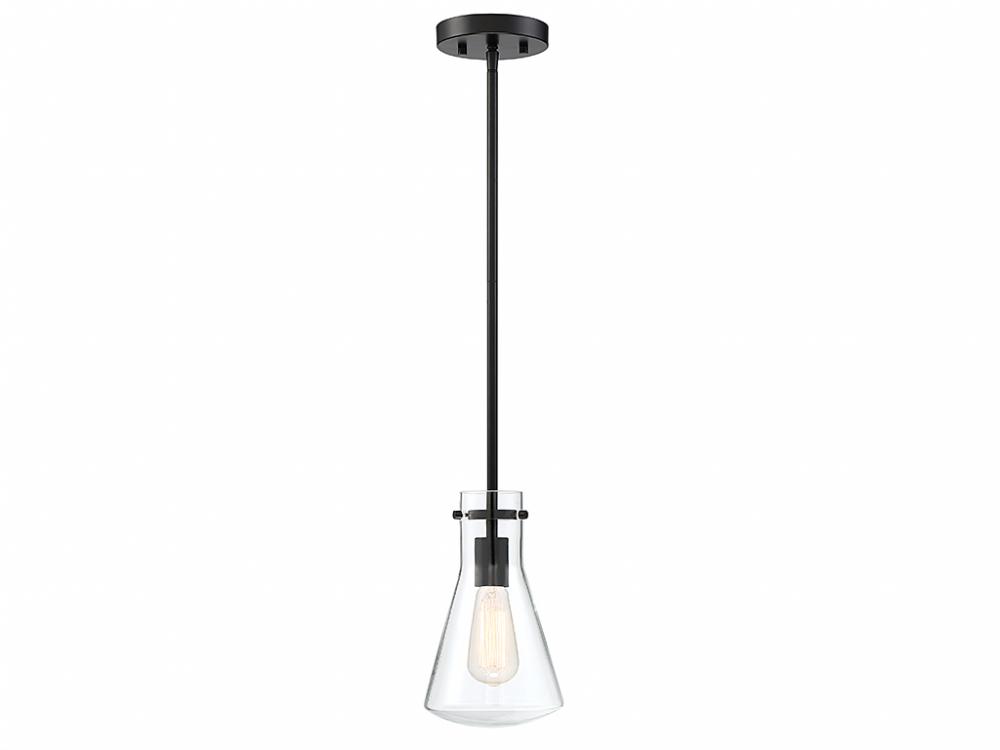 1-Light Pendant in Matte Black