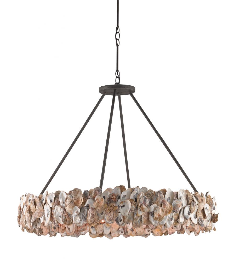 Oyster Shell Chandelier