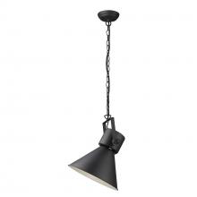 Trend Lighting by Acclaim TP10026BK - Crew 1-Light Pendant