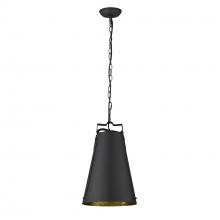 Trend Lighting by Acclaim TP10035BK - Faza 1-Light Pendant