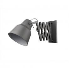 Trend Lighting by Acclaim TW40061GY - Plexus 1-Light Sconce